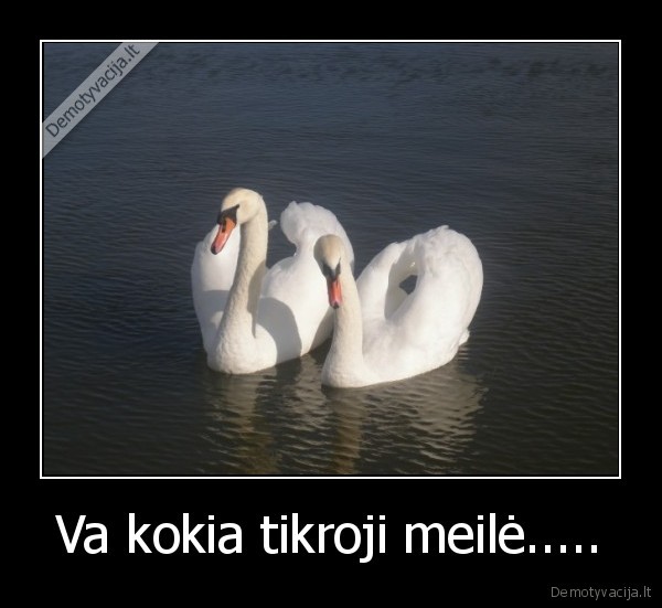 Va kokia tikroji meilė..... - 