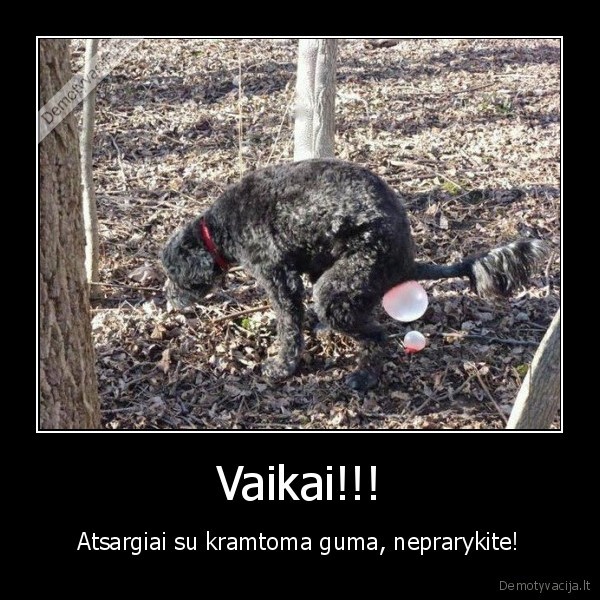 Vaikai!!! - Atsargiai su kramtoma guma, neprarykite!