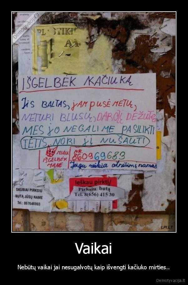 Vaikai - Nebūtų vaikai jai nesugalvotų kaip išvengti kačiuko mirties..