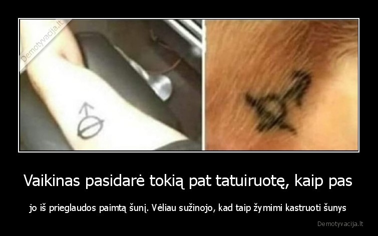 Vaikinas pasidarė tokią pat tatuiruotę, kaip pas - jo iš prieglaudos paimtą šunį. Vėliau sužinojo, kad taip žymimi kastruoti šunys