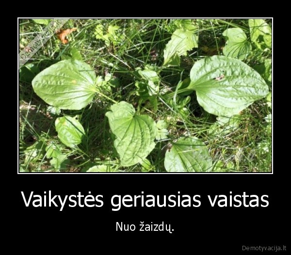 Vaikystės geriausias vaistas - Nuo žaizdų.