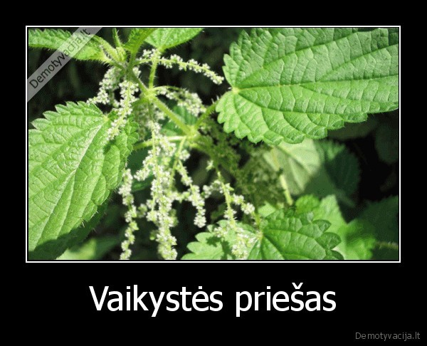 Vaikystės priešas - 