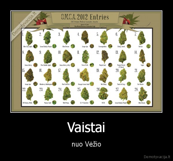 Vaistai - nuo Vėžio