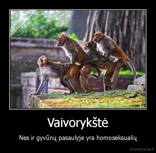 Vaivorykštė - Nes ir gyvūnų pasaulyje yra homoseksualių