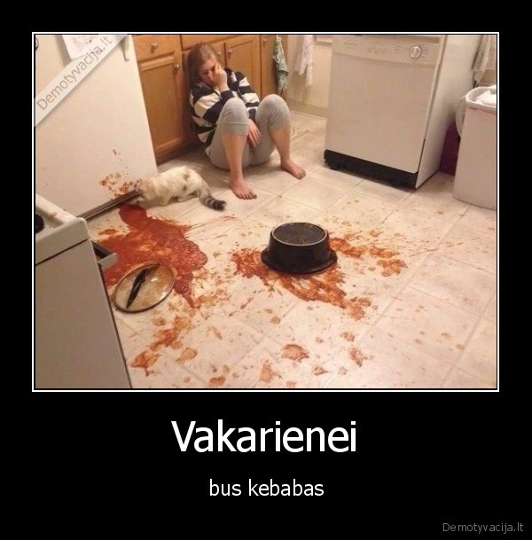 Vakarienei - bus kebabas