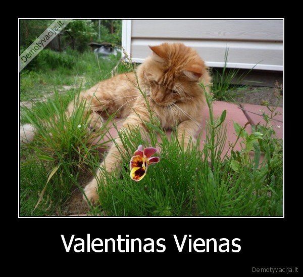 Valentinas Vienas - 