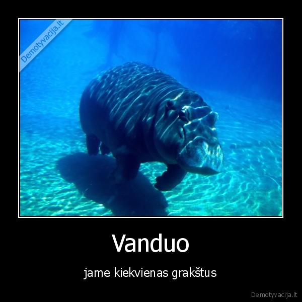 Vanduo - jame kiekvienas grakštus