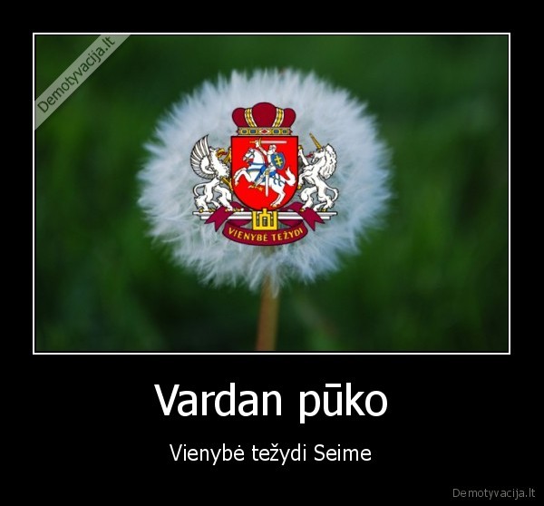 Vardan pūko - Vienybė težydi Seime