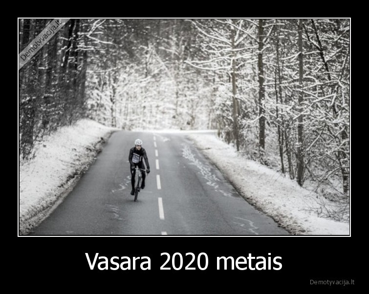 Vasara 2020 metais - 