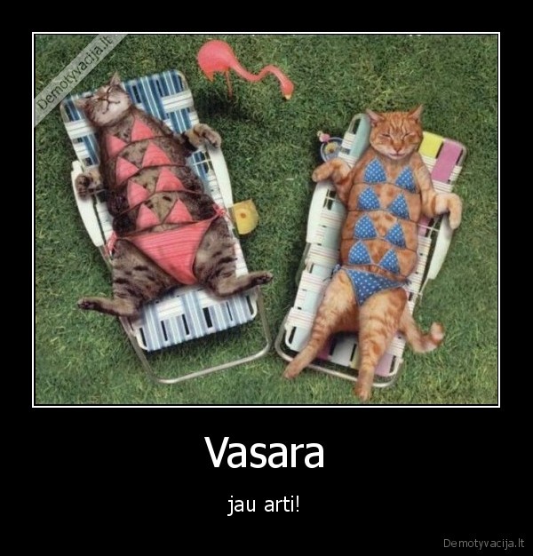 Vasara - jau arti!