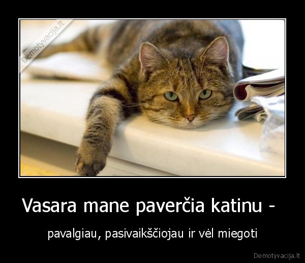 Vasara mane paverčia katinu -  - pavalgiau, pasivaikščiojau ir vėl miegoti