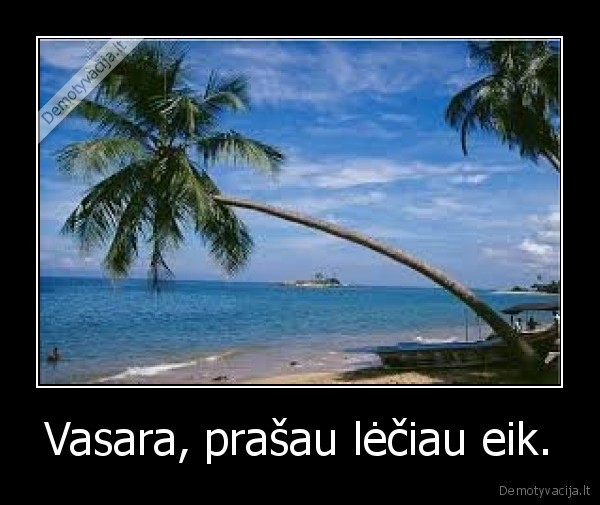 Vasara, prašau lėčiau eik. - 