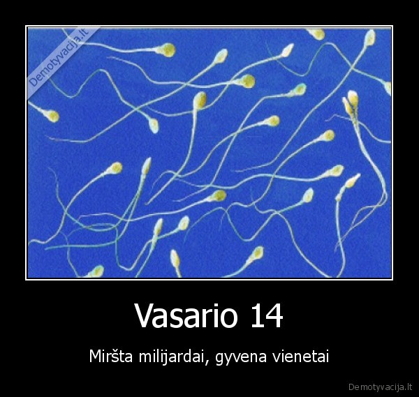 Vasario 14 - Miršta milijardai, gyvena vienetai