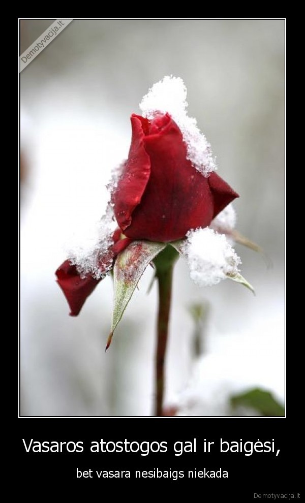 Vasaros atostogos gal ir baigėsi, - bet vasara nesibaigs niekada