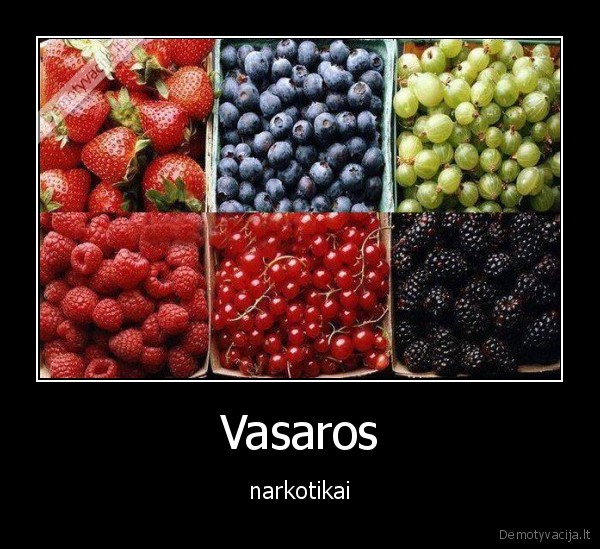 Vasaros - narkotikai