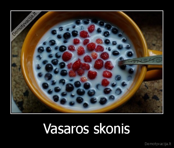 Vasaros skonis - 