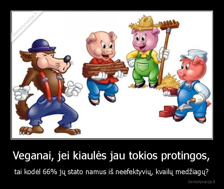 Veganai, jei kiaulės jau tokios protingos, - tai kodėl 66% jų stato namus iš neefektyvių, kvailų medžiagų?