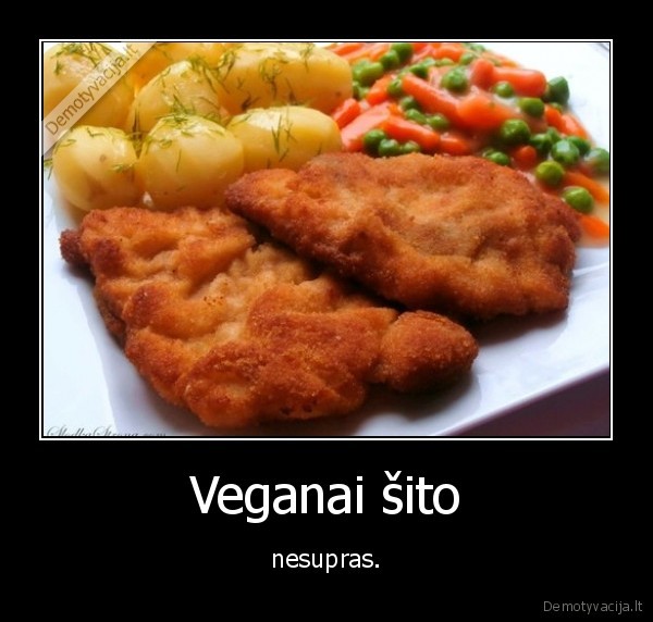 Veganai šito - nesupras.