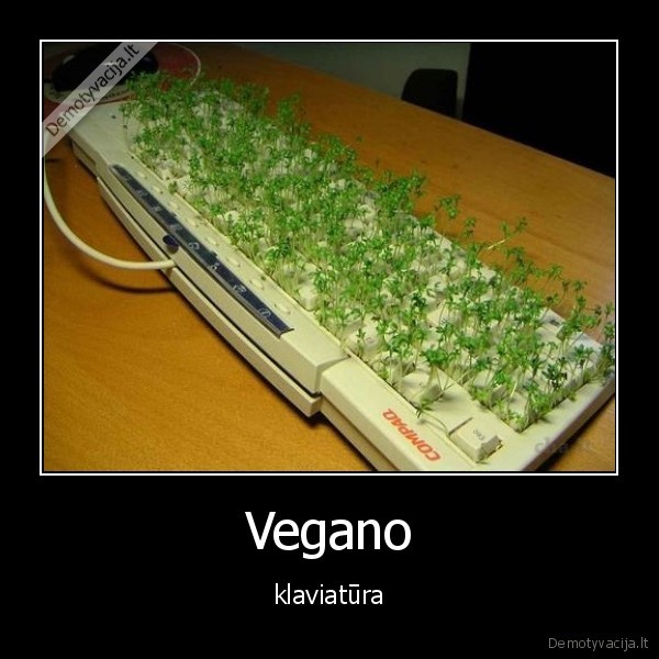 Vegano - klaviatūra