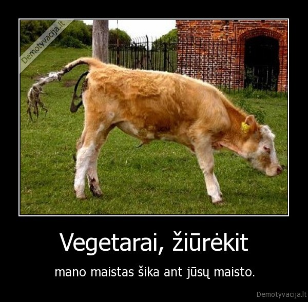 Vegetarai, žiūrėkit - mano maistas šika ant jūsų maisto.