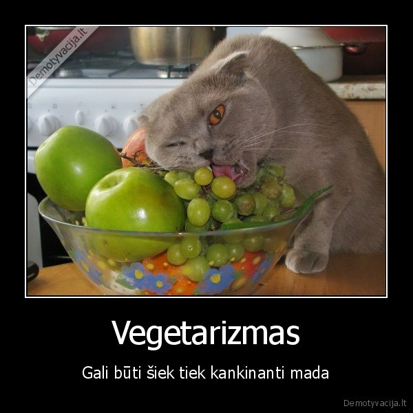 Vegetarizmas - Gali būti šiek tiek kankinanti mada