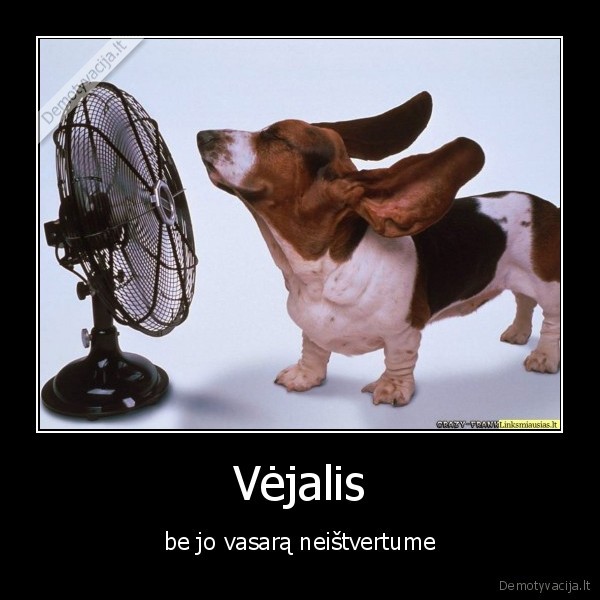 Vėjalis - be jo vasarą neištvertume