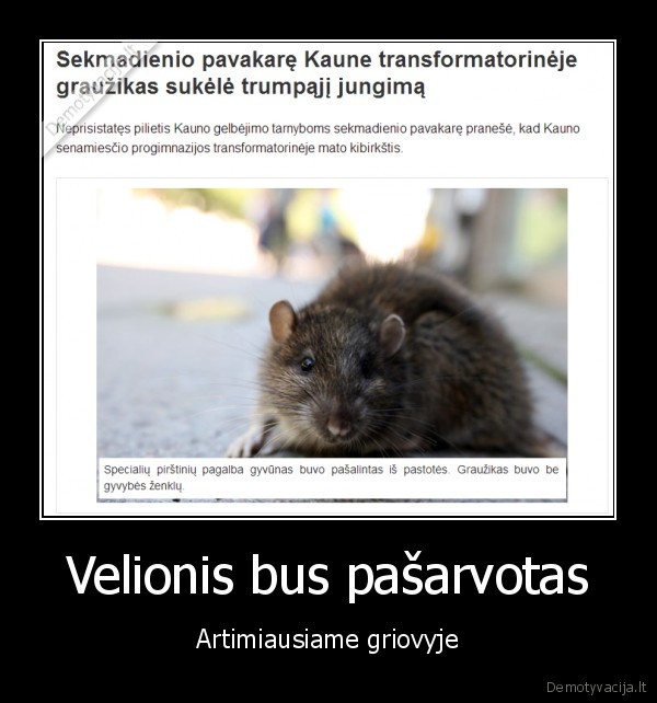 Velionis bus pašarvotas - Artimiausiame griovyje