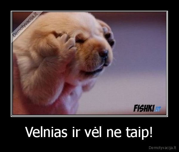 Velnias ir vėl ne taip! - 