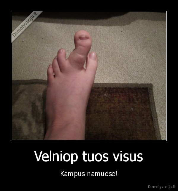 Velniop tuos visus - Kampus namuose!