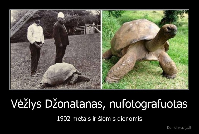 Vėžlys Džonatanas, nufotografuotas - 1902 metais ir šiomis dienomis