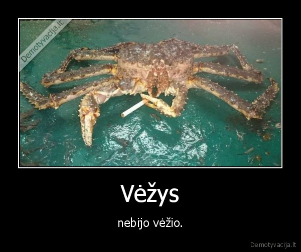 Vėžys - nebijo vėžio.