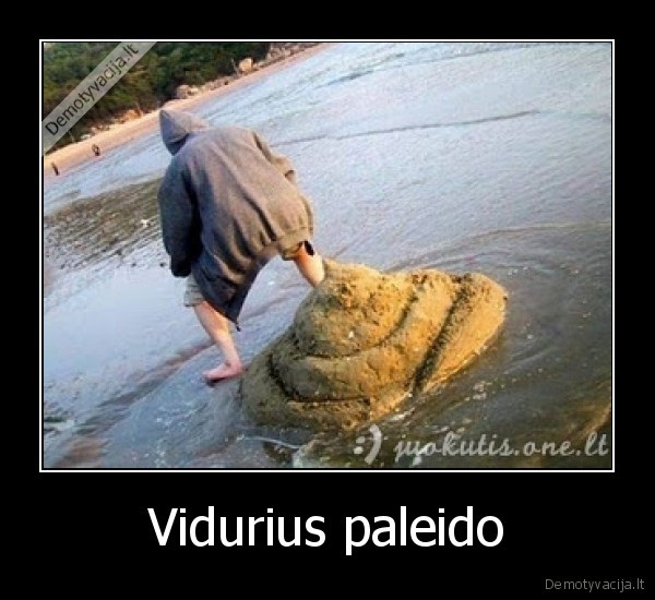 Vidurius paleido - 