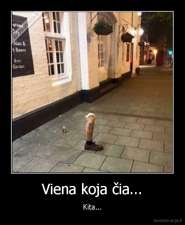 Viena koja čia... - Kita...