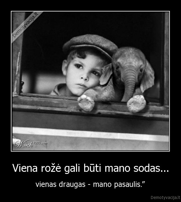 Viena rožė gali būti mano sodas... - vienas draugas - mano pasaulis.”