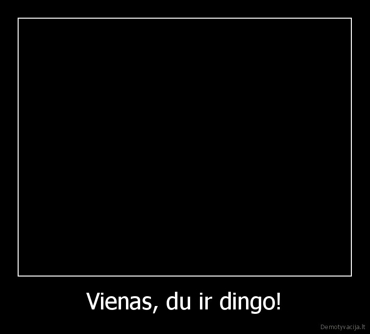 Vienas, du ir dingo! - 