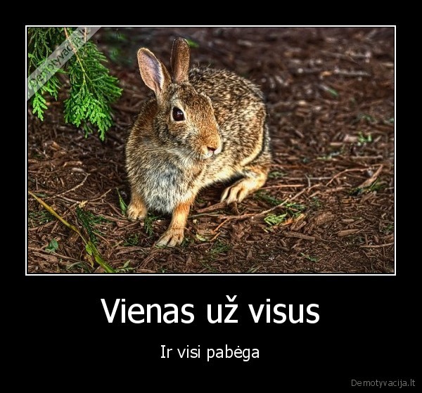 Vienas už visus - Ir visi pabėga