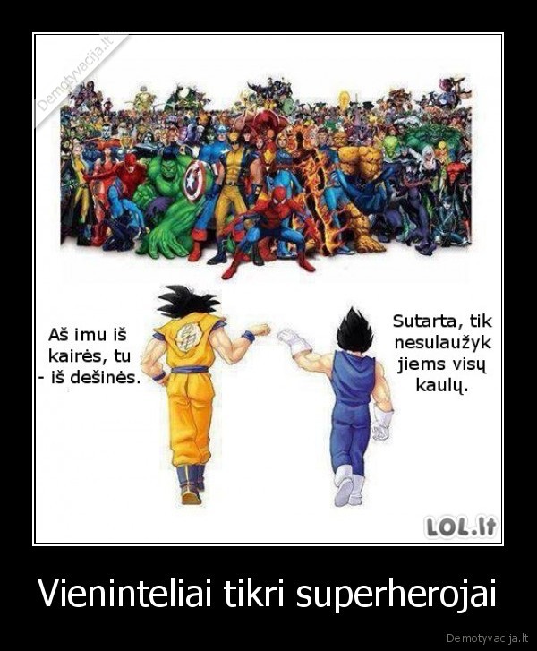 Vieninteliai tikri superherojai - 