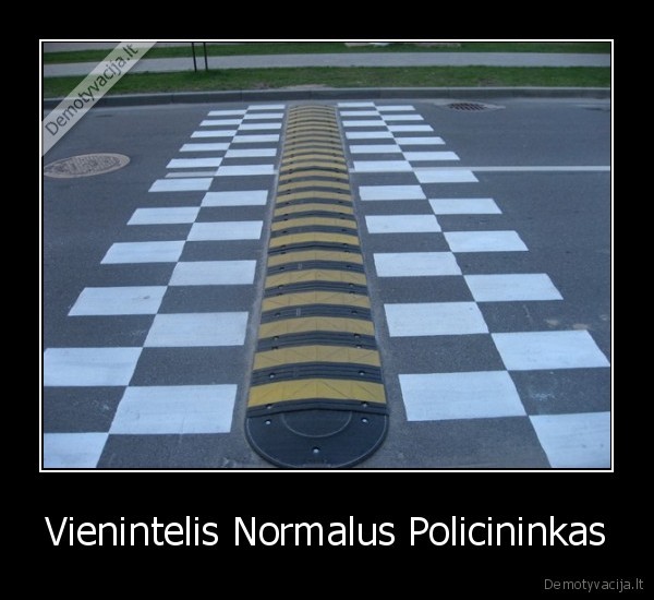 Vienintelis Normalus Policininkas - 