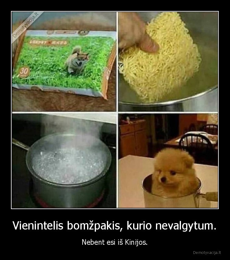 Vienintelis bomžpakis, kurio nevalgytum. - Nebent esi iš Kinijos.