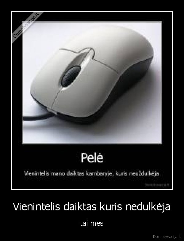 Vienintelis daiktas kuris nedulkėja - tai mes