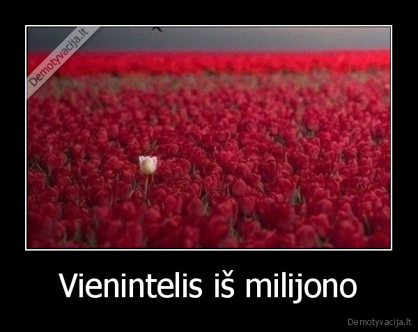 Vienintelis iš milijono - 