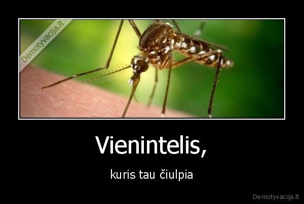 Vienintelis, - kuris tau čiulpia