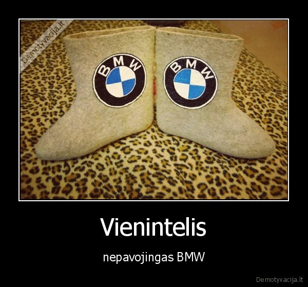 Vienintelis - nepavojingas BMW