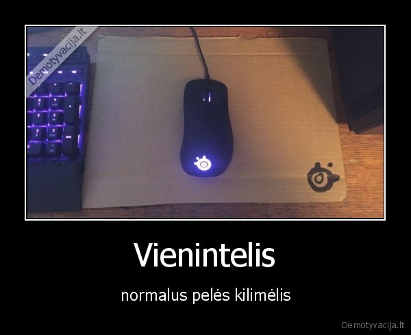 Vienintelis - normalus pelės kilimėlis