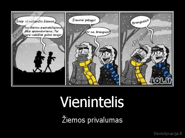 Vienintelis - Žiemos privalumas