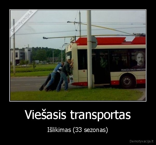 Viešasis transportas - Išlikimas (33 sezonas)