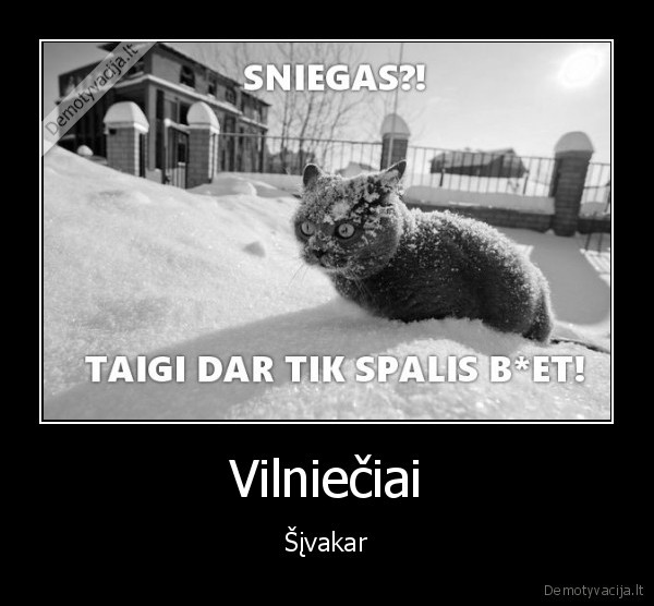 Vilniečiai - Šįvakar