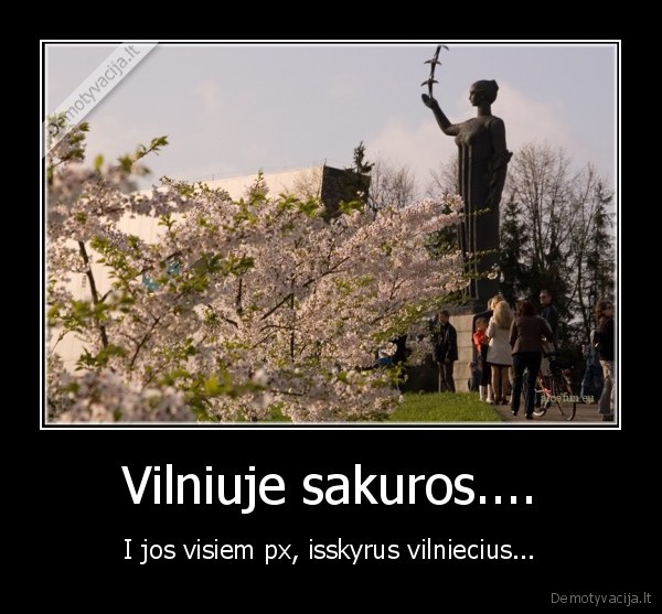 Vilniuje sakuros.... - I jos visiem px, isskyrus vilniecius...