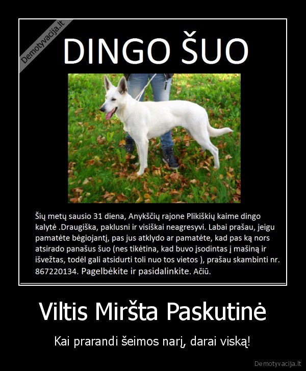 Viltis Miršta Paskutinė - Kai prarandi šeimos narį, darai viską!