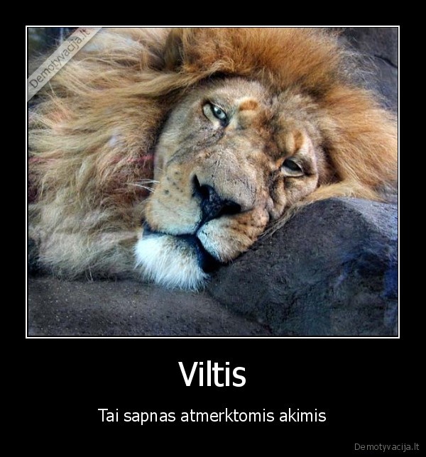 Viltis - Tai sapnas atmerktomis akimis